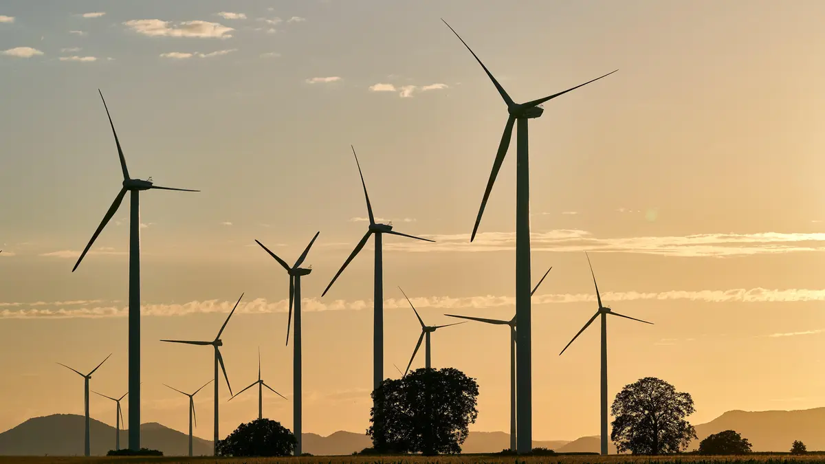 Mehrere Windräder auf einer Wiese.