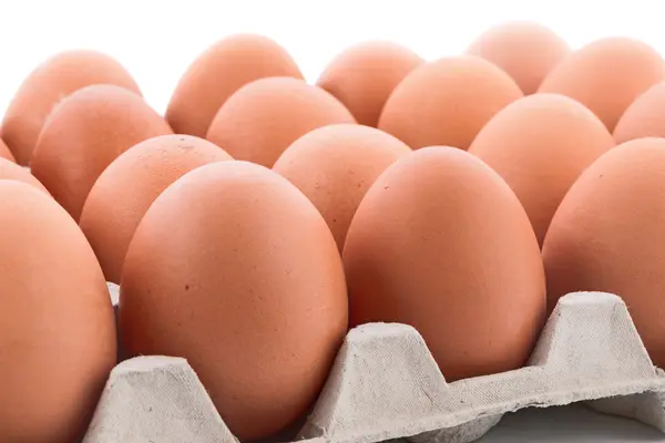 Frische Eier