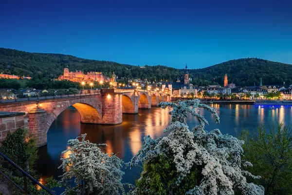 Heidelberg Alte Brücke und Schloss