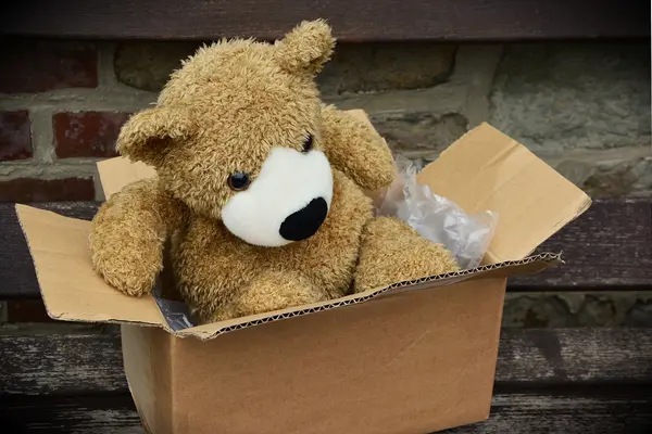 Teddybär in einem Karton