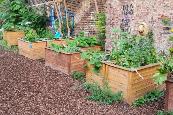 Gemeinschaftsgarten Schmitzundkunzt. Auf dem Bild sind bepflanzte Hochbeete zu sehen.