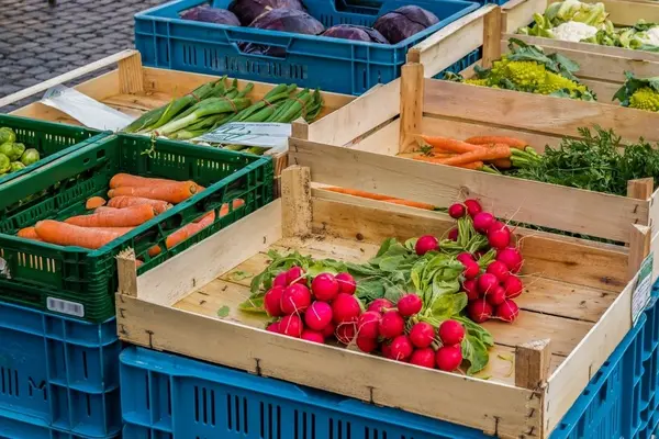 Radieschen, Möhren und weitere Gemüsesorten in Kisten auf dem Markt