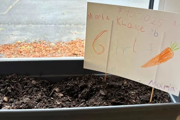 Blumenkasten am Fensterbrett in einer Grundschule