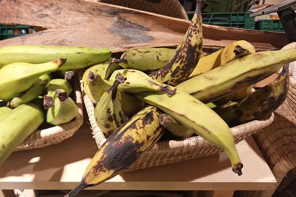 Mehrere Kochbananen liegen in zwei Holzkörben.