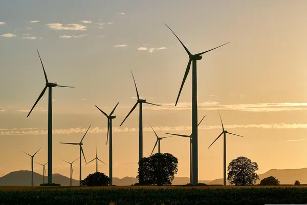 Mehrere Windräder auf einer Wiese.