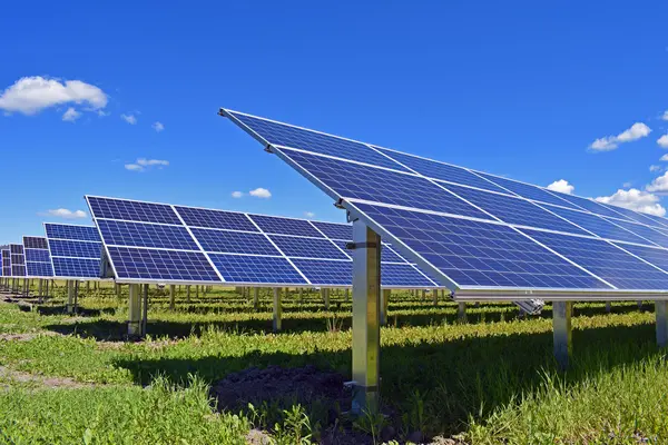 Solarpanel auf Weide. Blauer Himmel und ein paar Wolken im Hintergrund