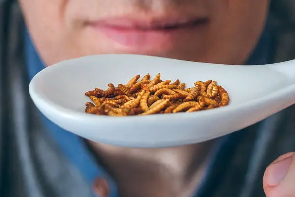 Insekten essen
