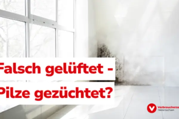 Falsch gelüftet - Pilze gezüchtet?