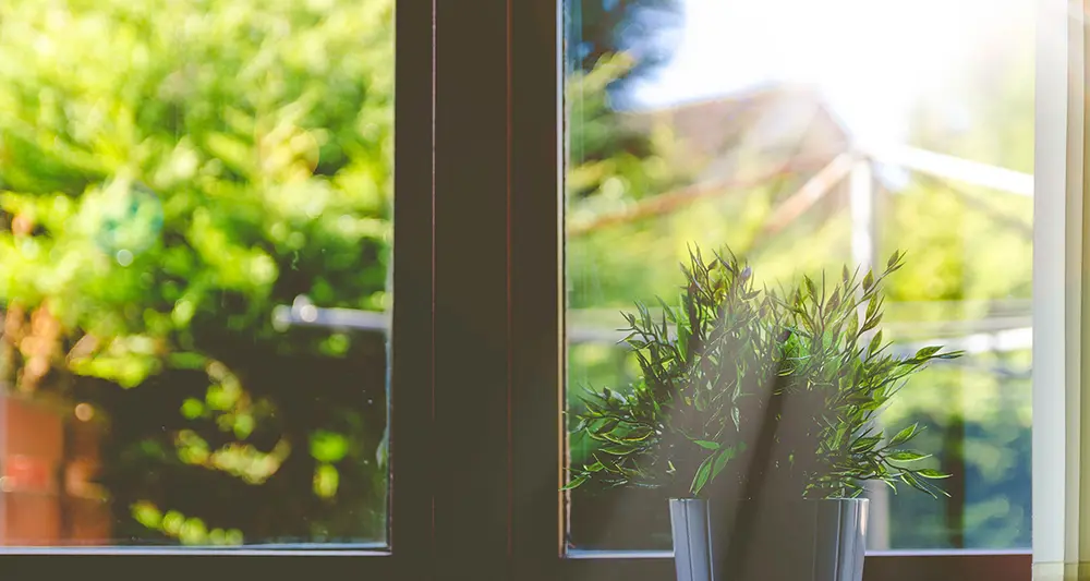 Blick aus dem Fenster. Die Sonne scheint hell hinein. Ein grüner Graten ist zu sehen. Auf dem Fensterbrett steht eine kleine, grüne Topfpflanze.