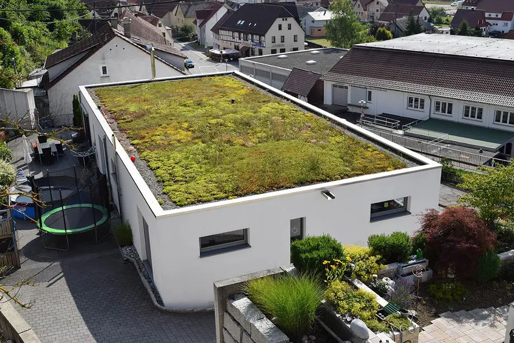 Wie Dachbegrnung zur Klimaanpassung beitrgt | Klimakoffer NRW