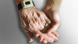 eine junge Hand hält eine alte